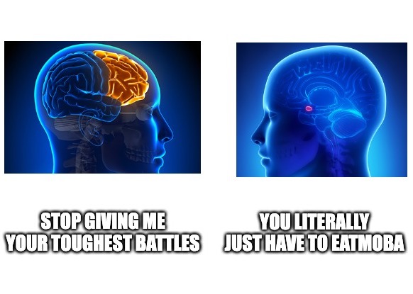 cortex_VS_amygdala